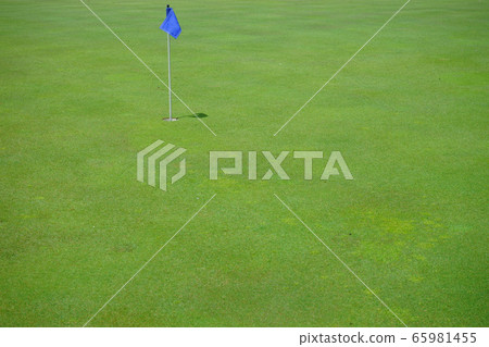 May Green-2 65981455