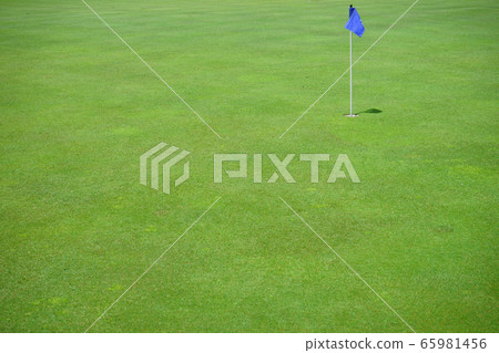 May Green-3 65981456