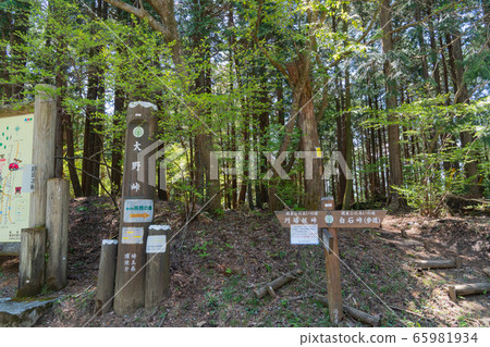 小野Pass(奧武武藏) 小野Pass(奧武武藏) 65981934