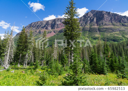 Glacier National Park (Two Medicine) Glacier National Park (Two Medicine) 65982513