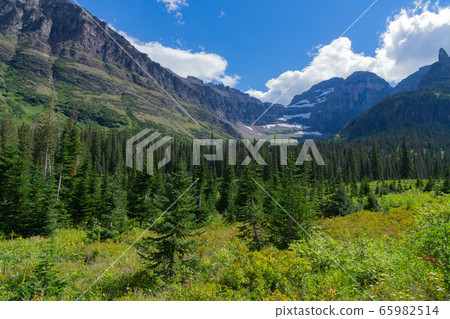 Glacier National Park (Two Medicine) Glacier National Park (Two Medicine) 65982514