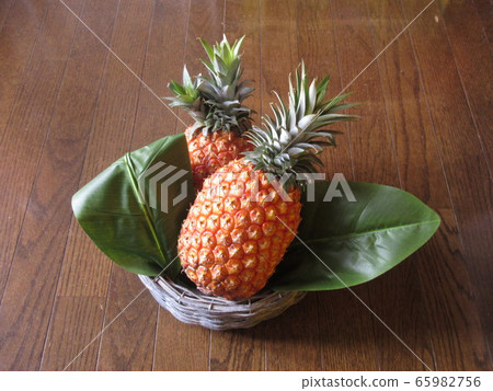 菠蘿 65982756