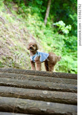 Up the stairs Up the stairs 65982762