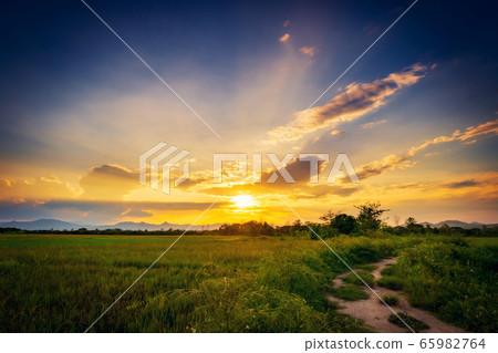 Landscapse of Field meadow and beautiful sunset Landscapse of Field meadow and beautiful sunset 65982764