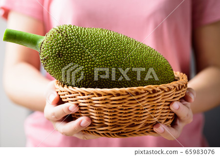 Young jackfruit in a basket holding by hand 65983076
