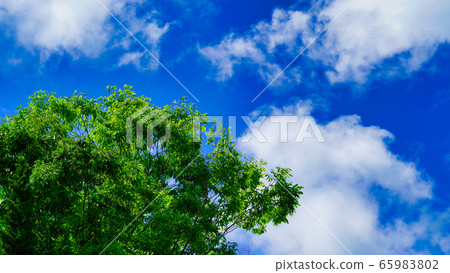 Early summer sky 65983802