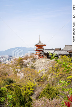 Kiyomizu Temple grounds Kiyomizu Temple grounds 65983993