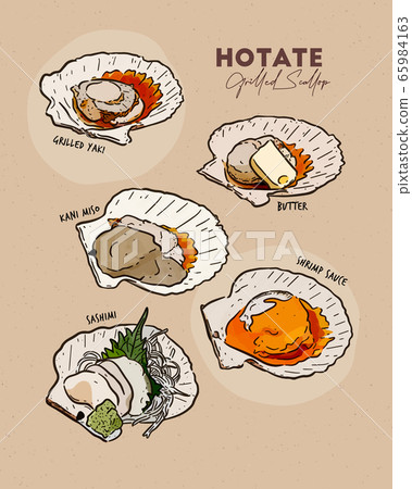 Japanese Scallop Grilled, collection. Hand draw 65984163