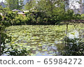 上野公園 65984272