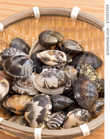 生蛤蜊 65985484