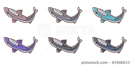 R：一個可愛的童話水族館 65986633