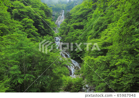 Shojingataki和Ishizora河谷 Shojingataki和Ishizora河谷 65987048