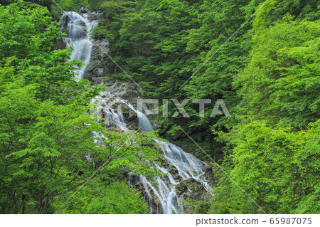 Shojingataki and Ishizora River Valley 65987075