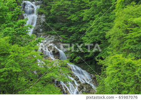Shojingataki and Ishizora River Valley 65987076