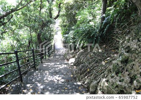 Urasoe城堡廢墟 Urasoe城堡廢墟 65987752