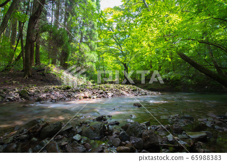 Cool water Oike spring water 65988383