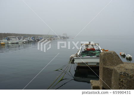 Fog Fog 65990431