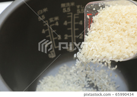 Rice 65990434