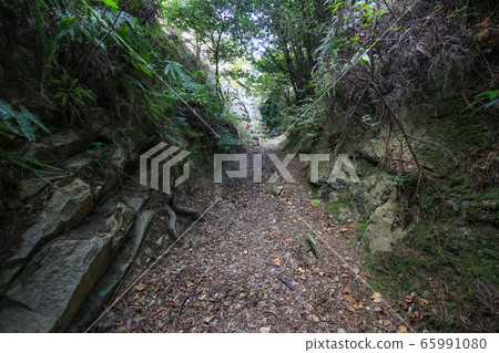 Road to the Observatory of Okunoshima Northern Battery, Takehara City, Hiroshima Prefecture Road to the Observatory of Okunoshima Northern Battery, Takehara City, Hiroshima Prefecture 65991080