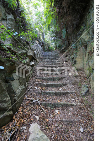 Road to the Observatory of Okunoshima Northern Battery, Takehara City, Hiroshima Prefecture Road to the Observatory of Okunoshima Northern Battery, Takehara City, Hiroshima Prefecture 65991081