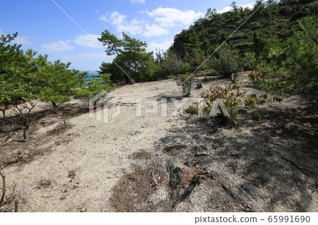 奧之島廣島縣武野市北部砲台觀察站 奧之島廣島縣武野市北部砲台觀察站 65991690