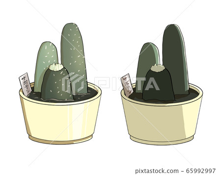 仙人掌2種類型的太陽 65992997