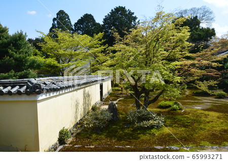 Kao的花園(京都市上京區Sagaokitabori-cho) Kao的花園(京都市上京區Sagaokitabori-cho) 65993271