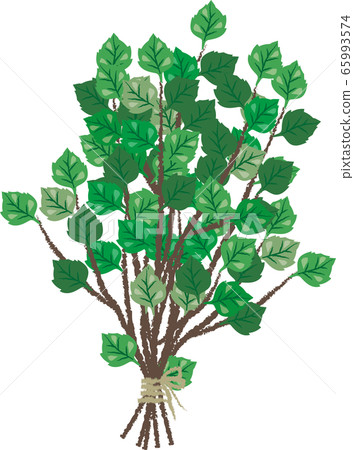Wichta birch branches Wichta birch branches 65993574