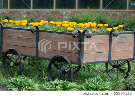 Flowerbed in the form of a wooden cart. Marigolds. 65995126