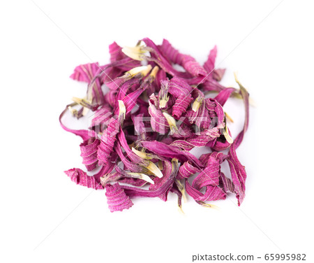 Dried Echinacea flowers, isolated on white 65995982