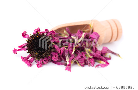 Dried Echinacea flowers on wooden spoon, isolated 65995983