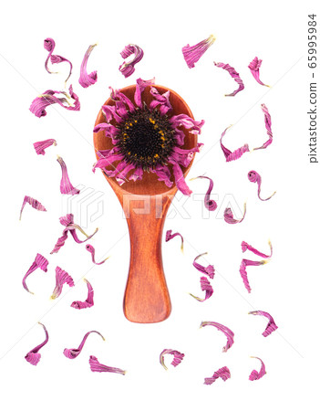 Dried Echinacea flowers on wooden spoon, isolated 65995984
