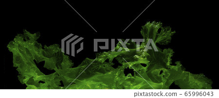 green algae isolated on black background 65996043