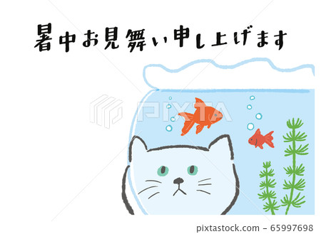 Cat and fishbowl _ summer visit _ side 65997698