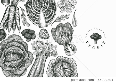 Hand drawn sketch vegetables design. Organic fresh Hand drawn sketch vegetables design. Organic fresh 65999204