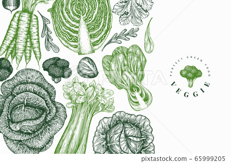 Hand drawn sketch vegetables design. Organic fresh Hand drawn sketch vegetables design. Organic fresh 65999205