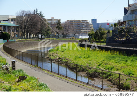 境川（東京都町田市） 65999577