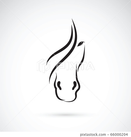 Vector image of an horse face design. Animals. 66000204
