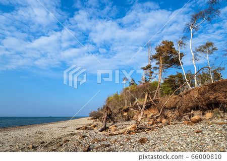 Landscape on shore of the Baltic Sea in Graal 66000810