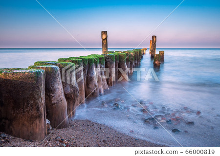 Groyne on shore of the Baltic Sea in Graal 66000819