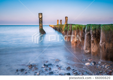 Groyne on shore of the Baltic Sea in Graal 66000820