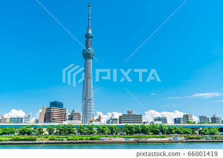 Tokyo Summer Illuminated Clouds and Sky Tree Urban Landscape 66001419