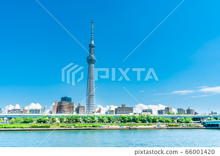 Tokyo Summer Illuminated Clouds and Sky Tree Urban Landscape 66001420
