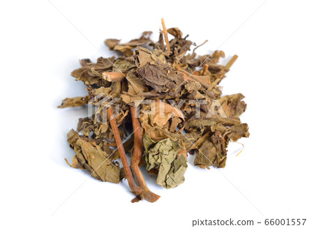 Dried Pachouli plant. Isolated on white background Dried Pachouli plant. Isolated on white background 66001557