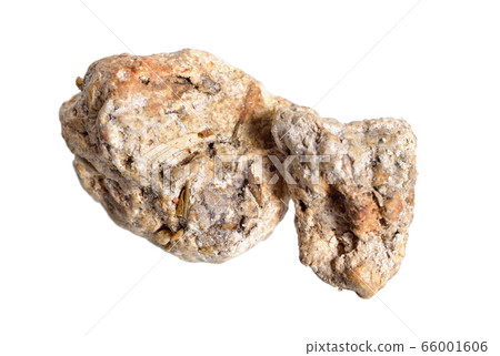 Ambergris, ambre gris, ambergrease or grey amber. 66001606