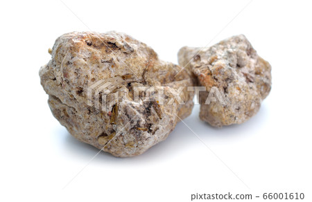 Ambergris, ambre gris, ambergrease or grey amber. Ambergris, ambre gris, ambergrease or grey amber. 66001610