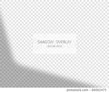 Shadow overlay effect. Natural shadows from window isolated on transparent background. Vector illustration. Shadow overlay effect. Natural shadows from window isolated on transparent background. Vector illustration. 66002475
