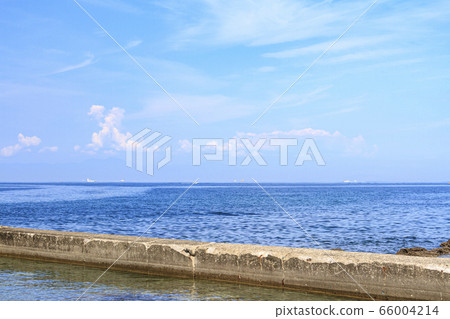 Nagai (early summer) Nagai (early summer) 66004214