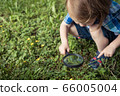 Happy little boy exploring nature with magnifying 66005004