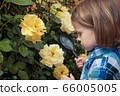 Happy little boy exploring nature with magnifying 66005005